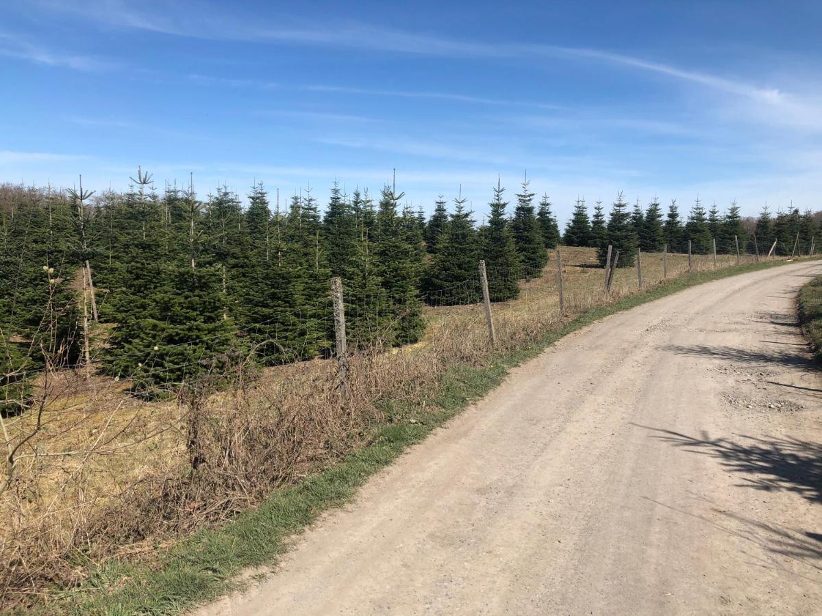 Gasthaus Mester Oedingen Bagian luar foto